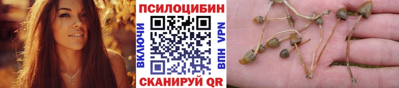 купить наркотик  Родники  Галлюциногенные грибы Magic Shrooms 