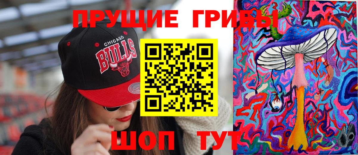 закладка  Псилоцибиновые грибы прущие грибы  Вход с VPN  Родники 