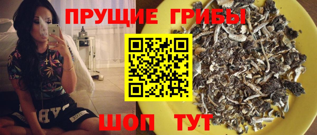 Псилоцибиновые грибы прущие грибы Родники