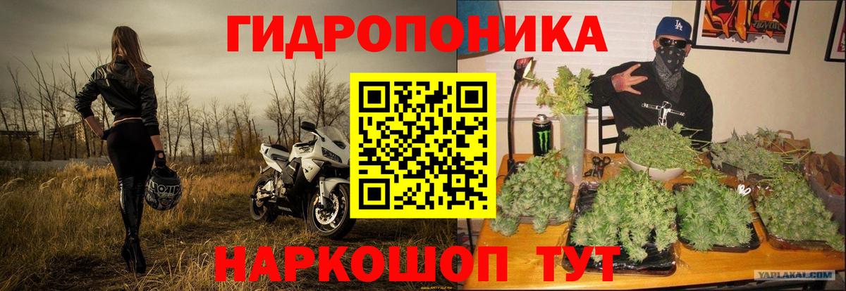 Родники  Бошки Шишки THC 21%  Бошки Шишки гибрид  Вход с VPN 