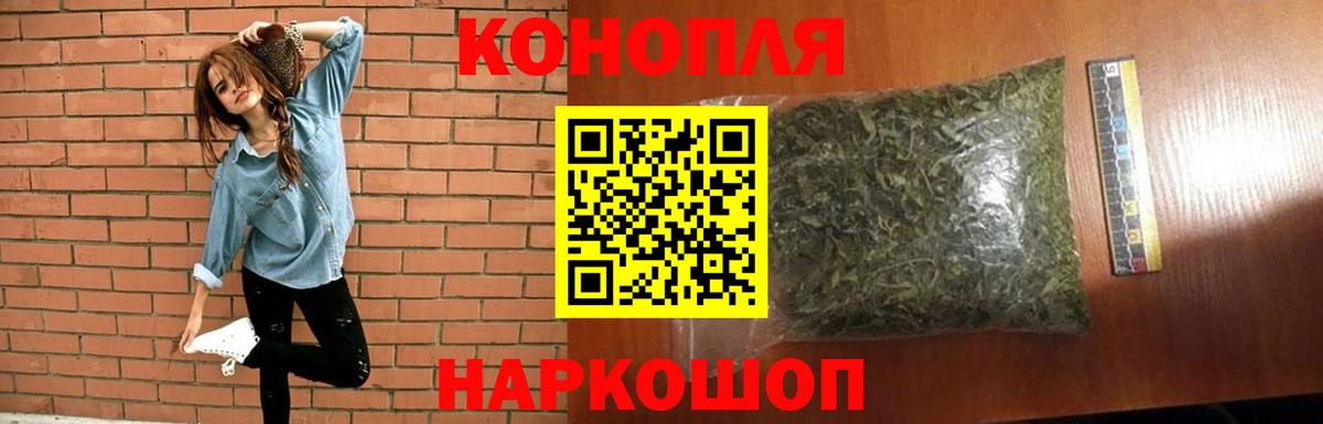 Каннабис OG Kush Родники
